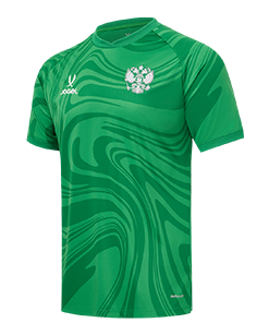 Футболка вратарская Jogel PerFormDRY National 26 GK Jersey, зеленый 