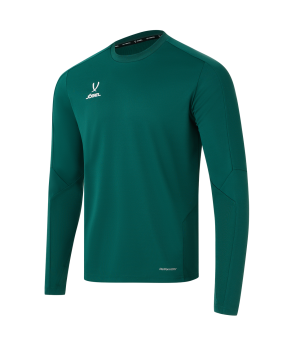 Джемпер тренировочный DIVISION PerFormDRY Pro Training Top